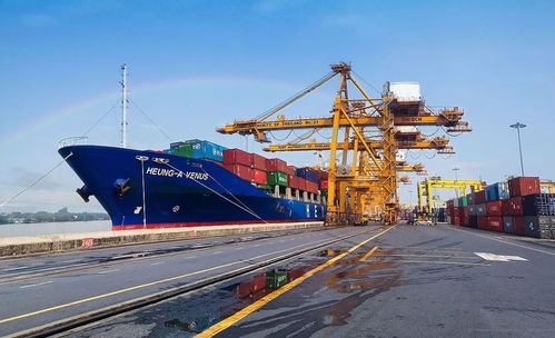 越南經(jīng)濟(jì)逆勢增長背后的戰(zhàn)略選擇與文化潛力