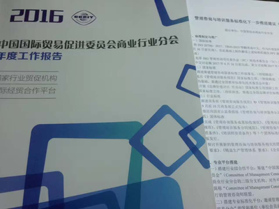 標(biāo)準(zhǔn)引領(lǐng)，智啟未來 李德偉出席2017年管理咨詢與培訓(xùn)服務(wù)標(biāo)準(zhǔn)化研討會